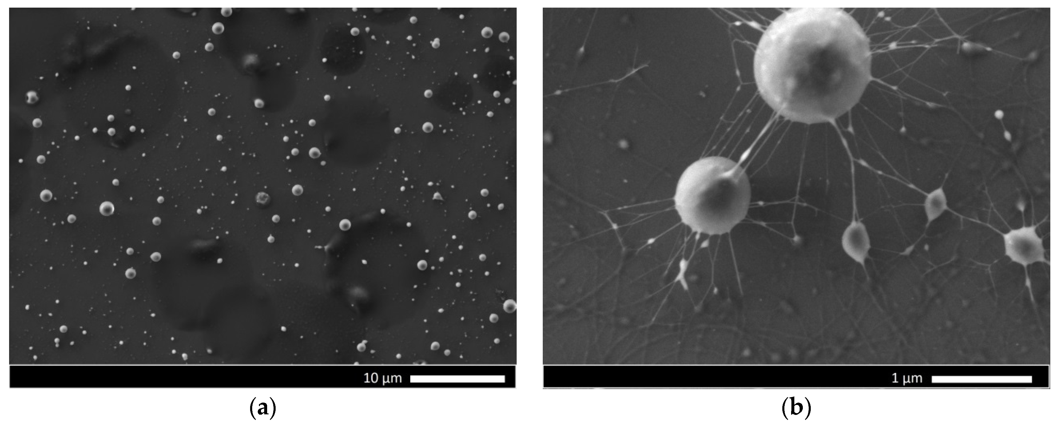 Technologies 08 00071 g010