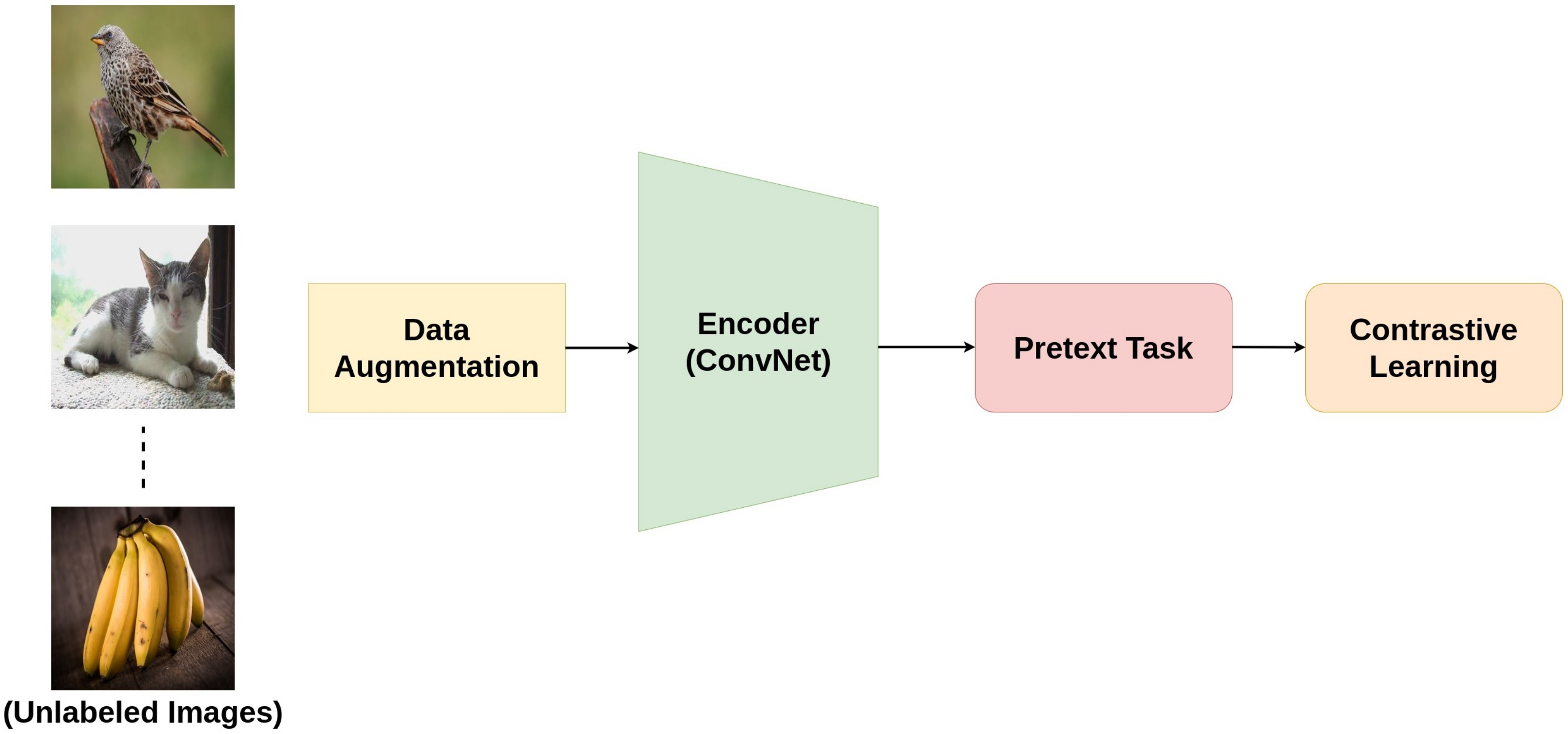 Technologies 09 00002 g002