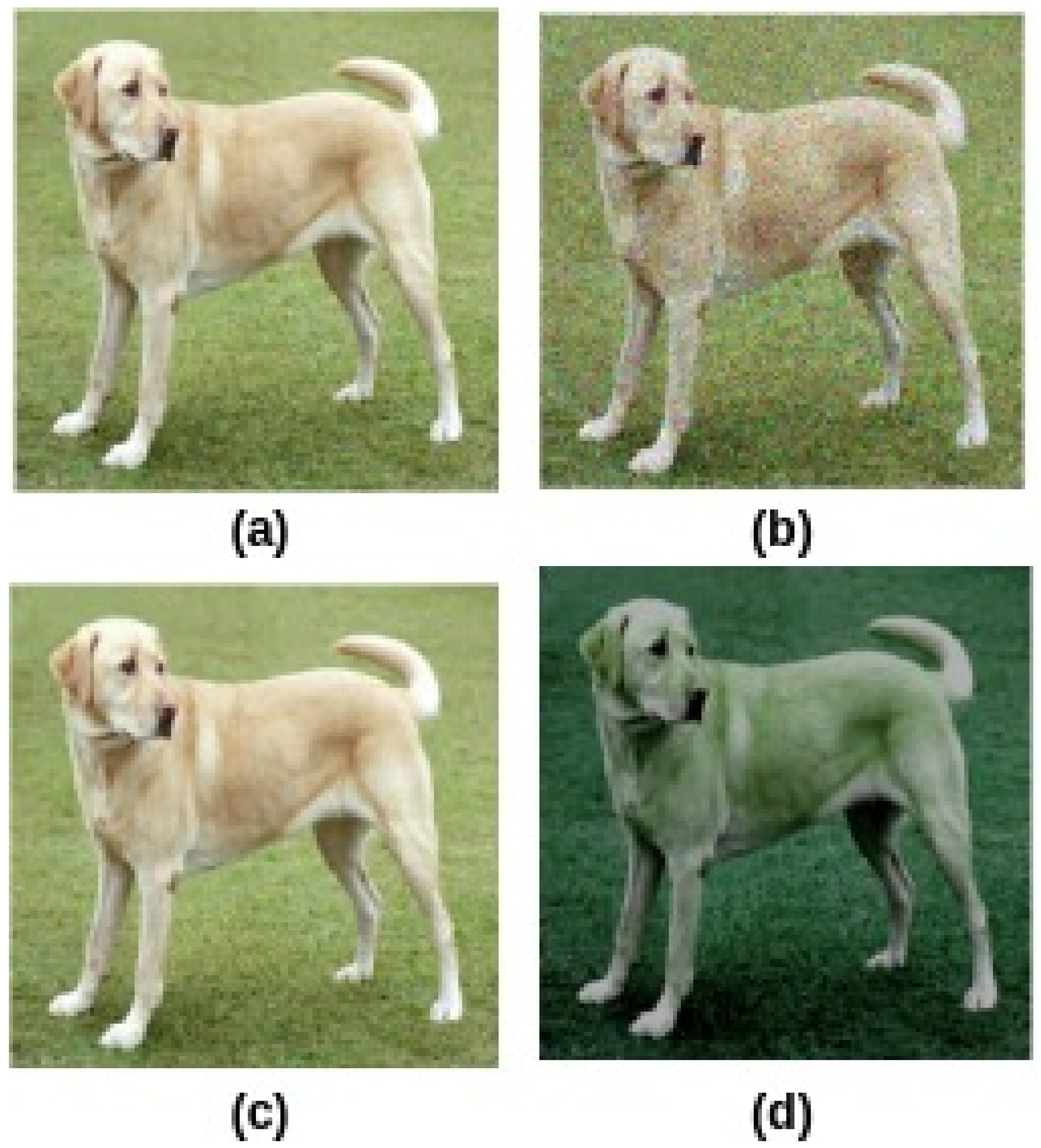 Technologies 09 00002 g004