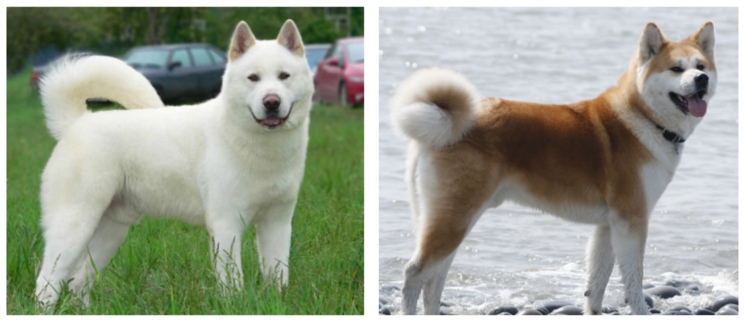 Technologies 09 00002 g009