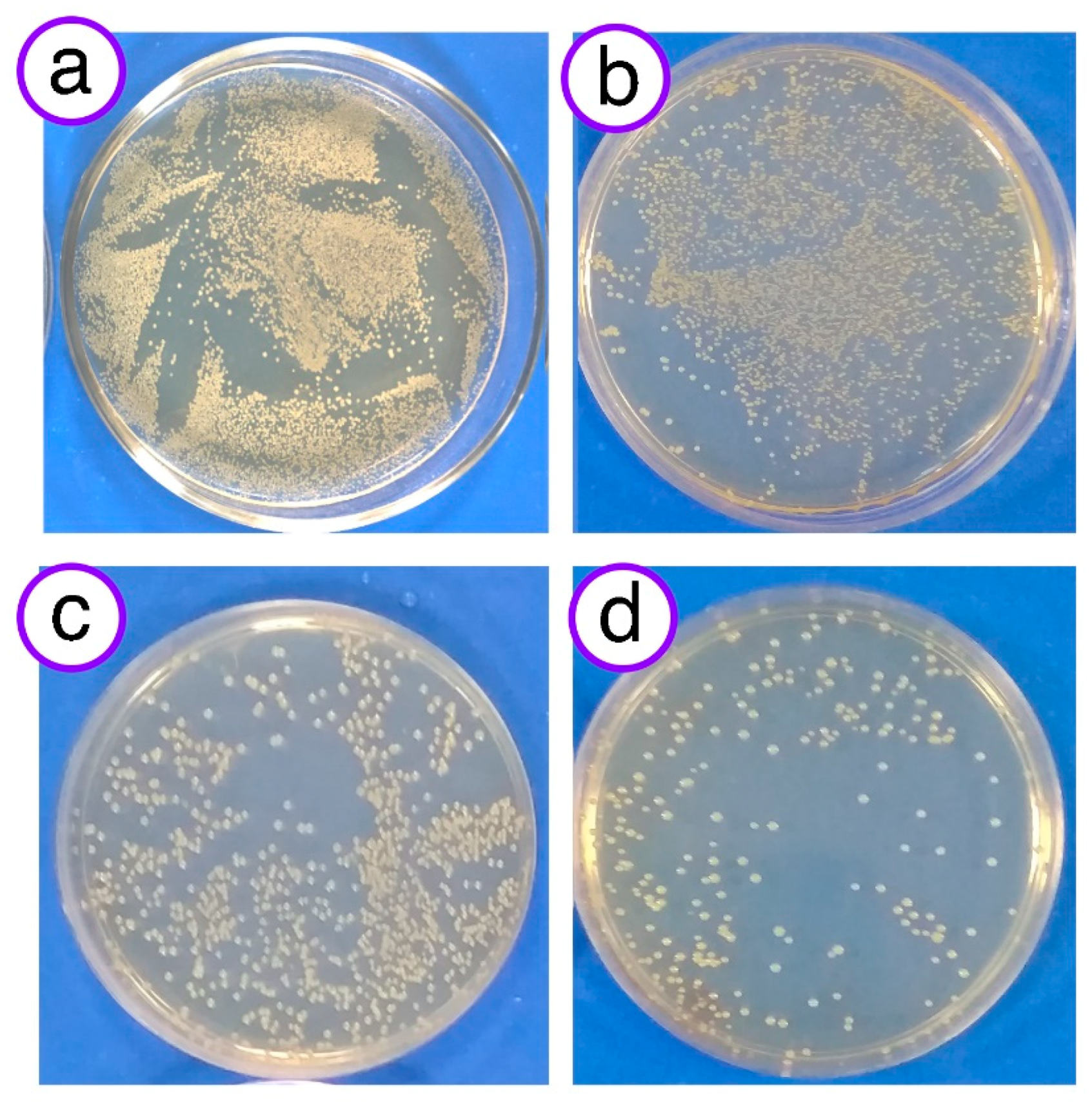 Technologies 09 00005 g005