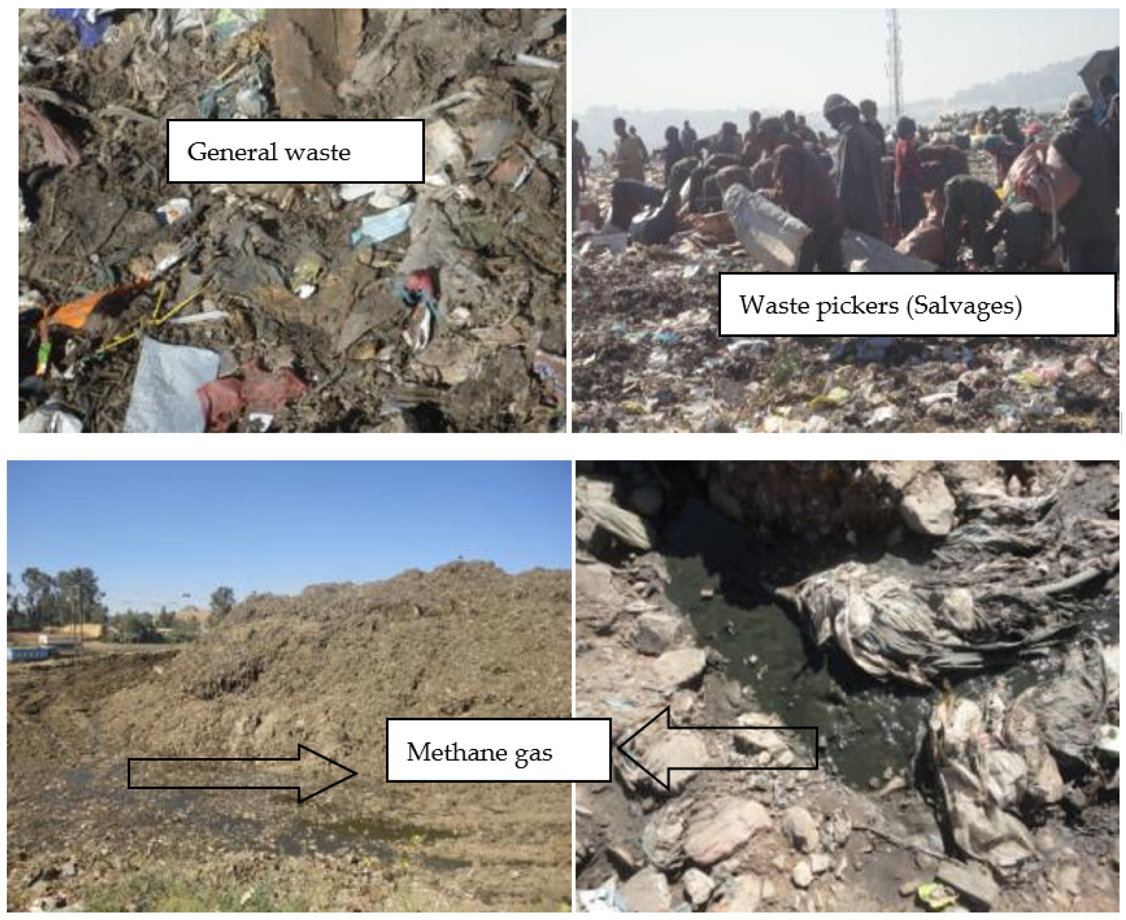 Technologies 09 00048 g004