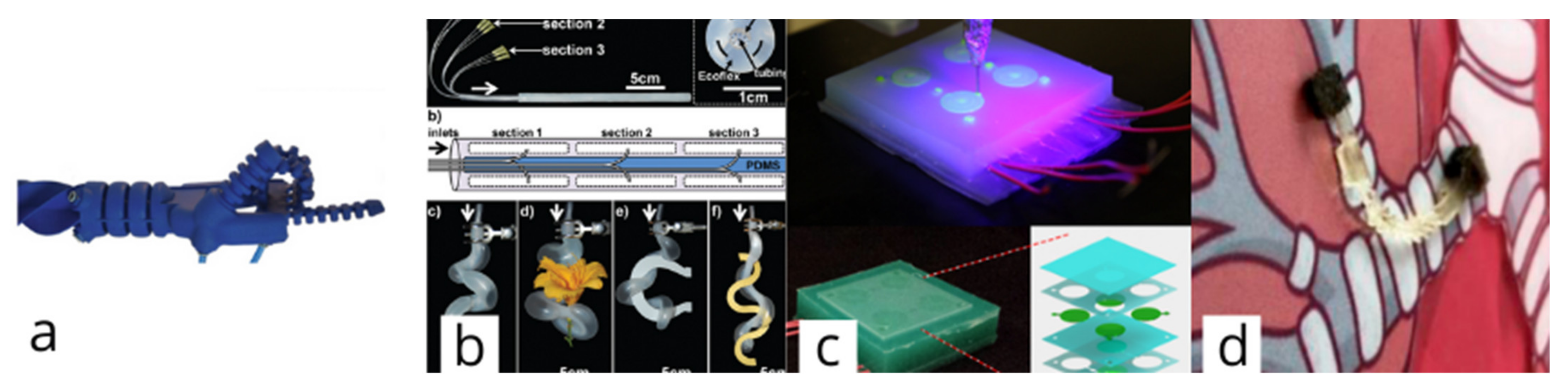 Technologies 09 00082 g005