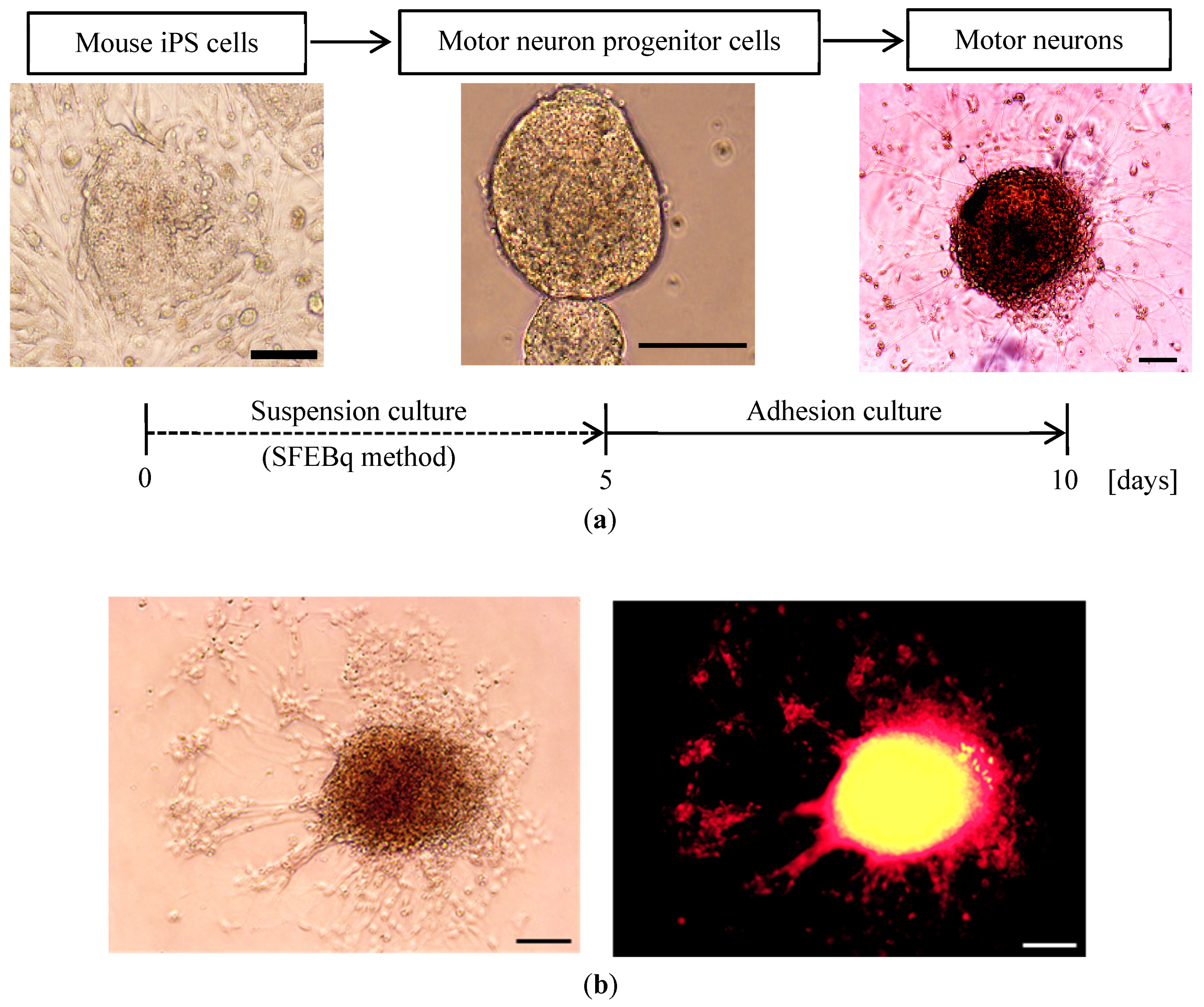 Technologies 09 00083 g002