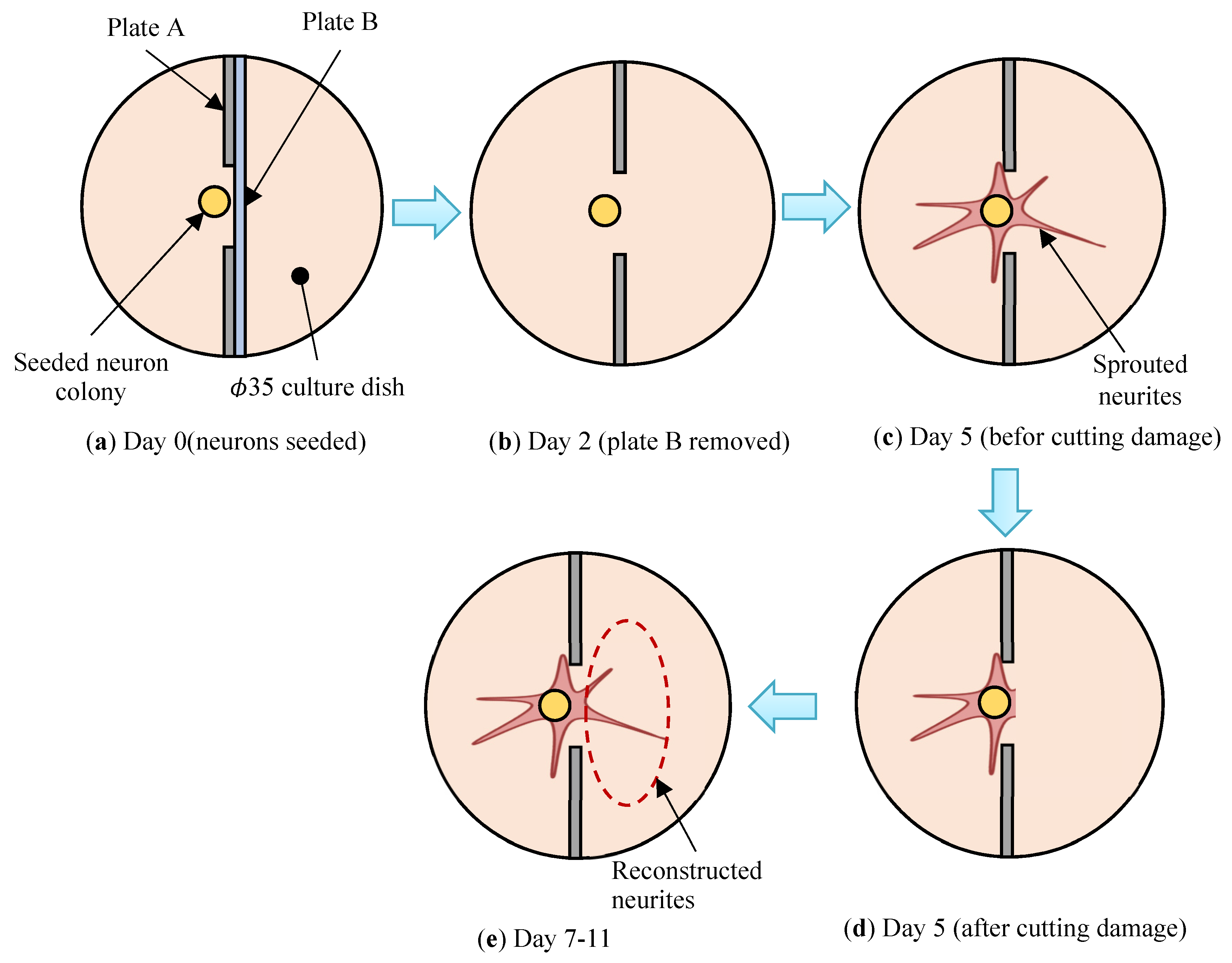 Technologies 09 00083 g004