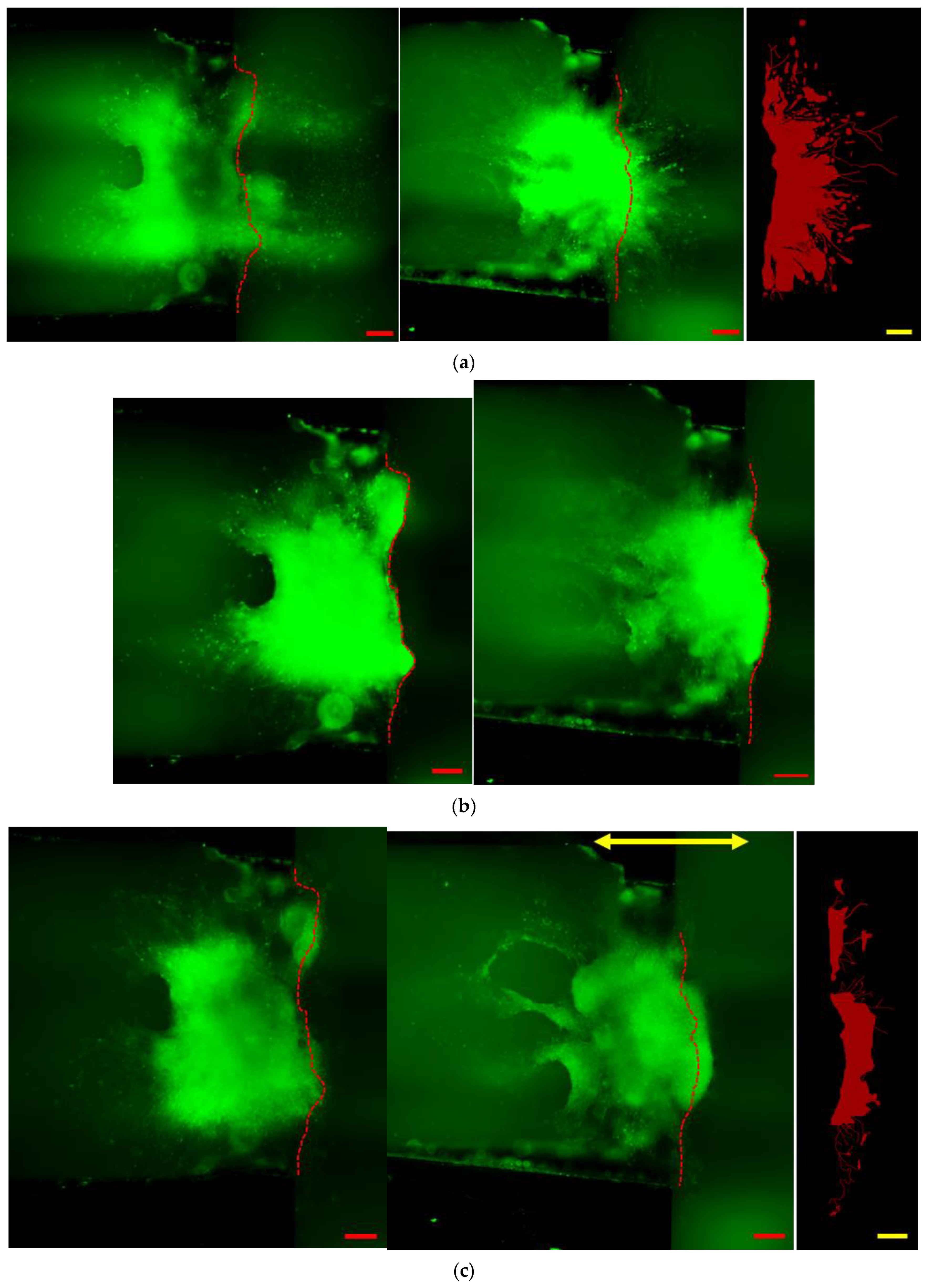Technologies 09 00083 g006a