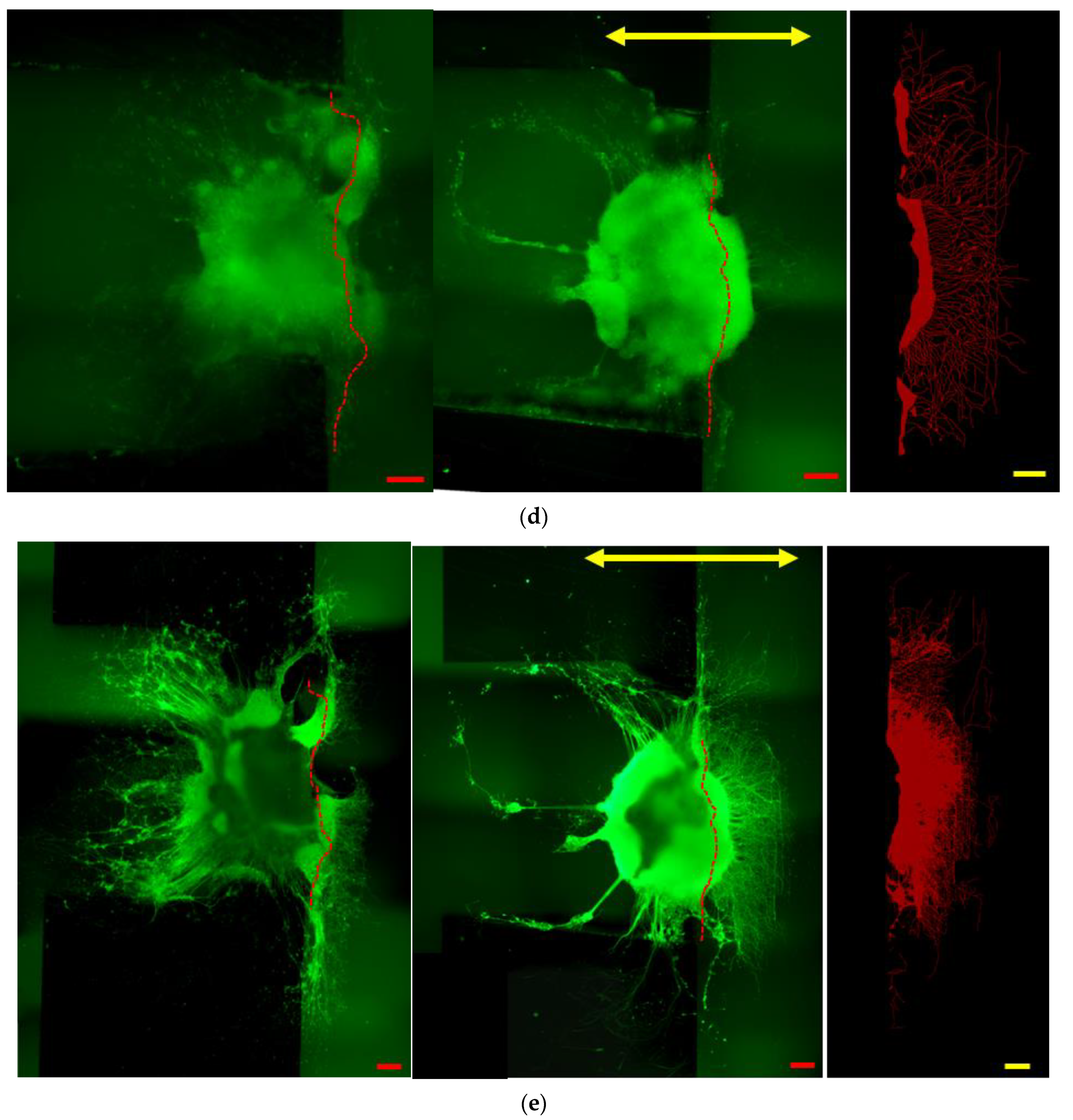 Technologies 09 00083 g006b