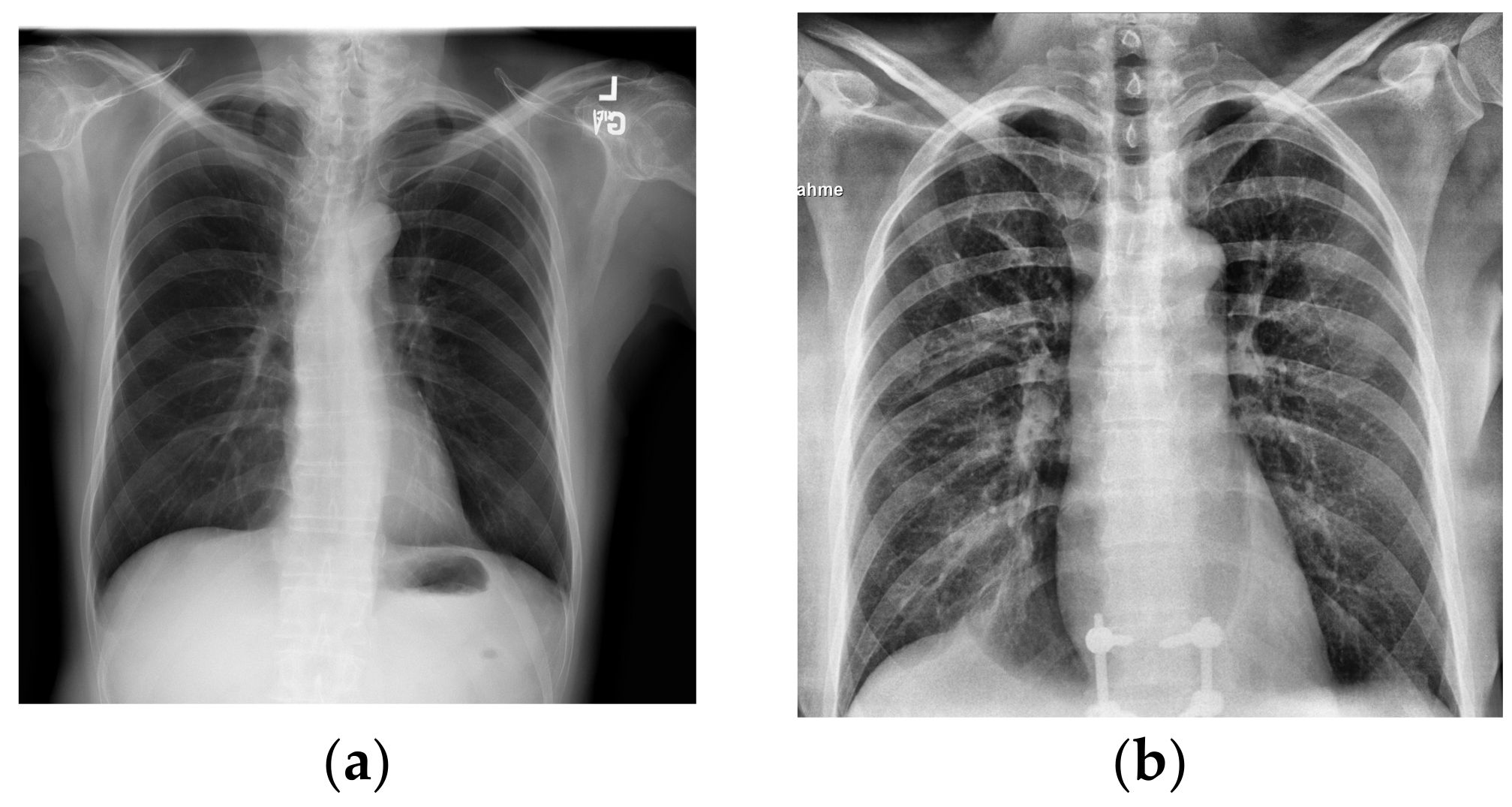 Technologies 09 00098 g001