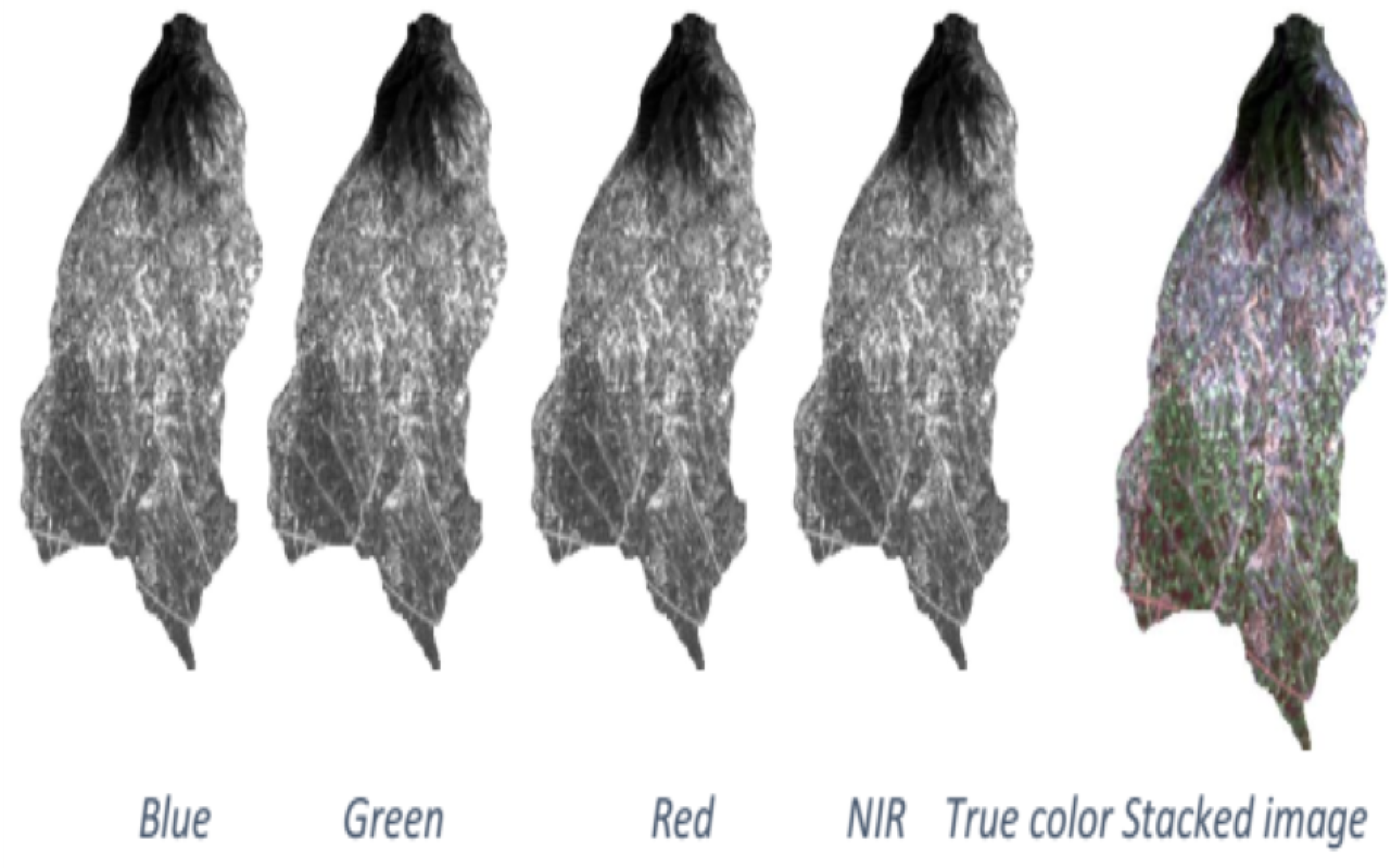 Technologies 10 00017 g003