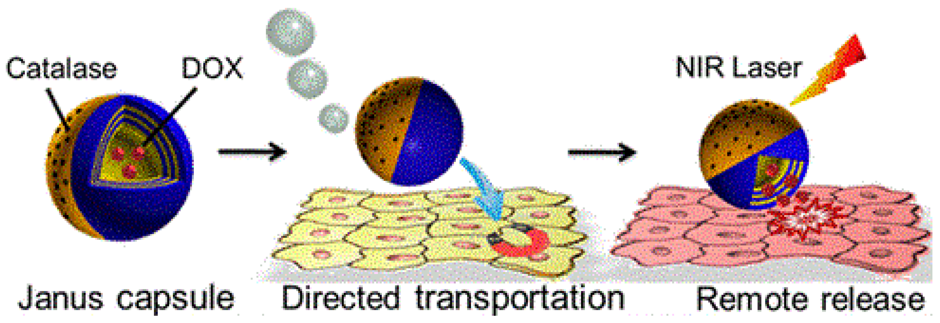 Technologies 10 00096 g001