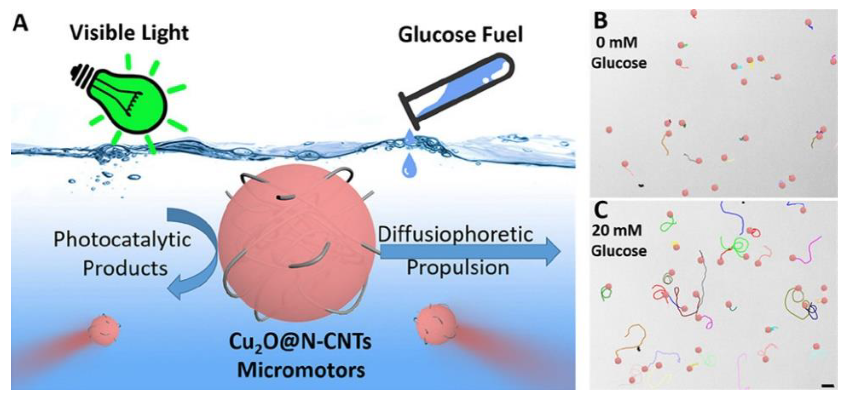 Technologies 10 00096 g006