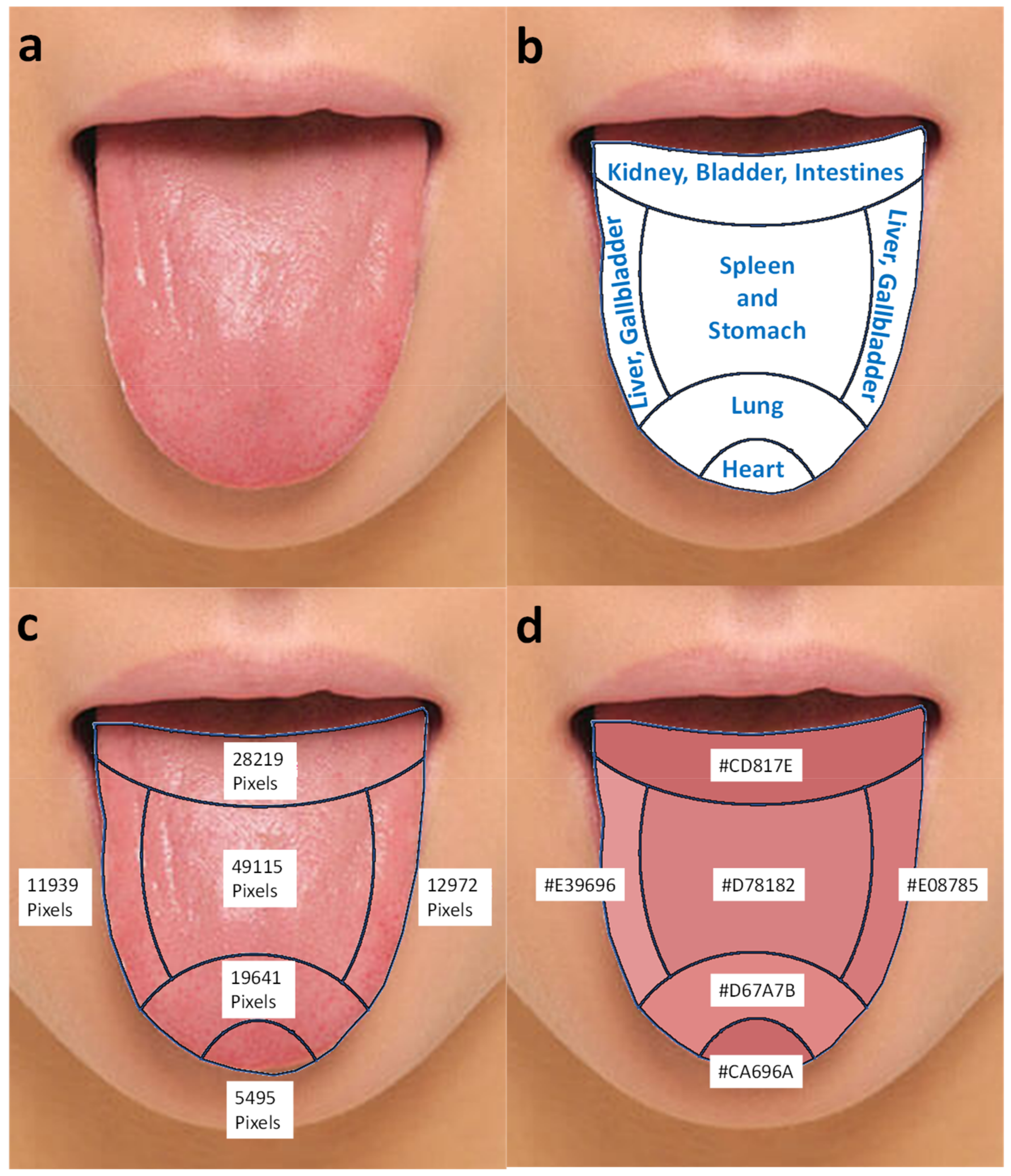 Technologies 11 00049 g010 Technologies 11 00049 g010