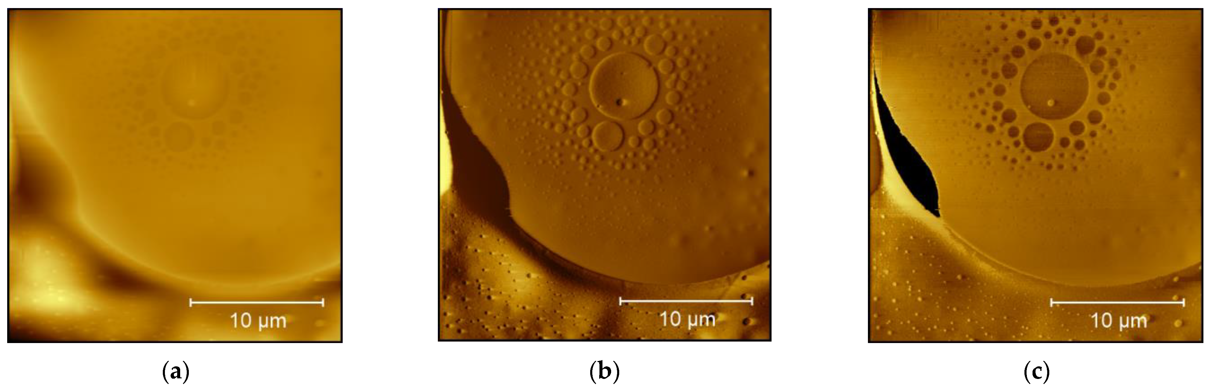 Technologies 11 00056 g002