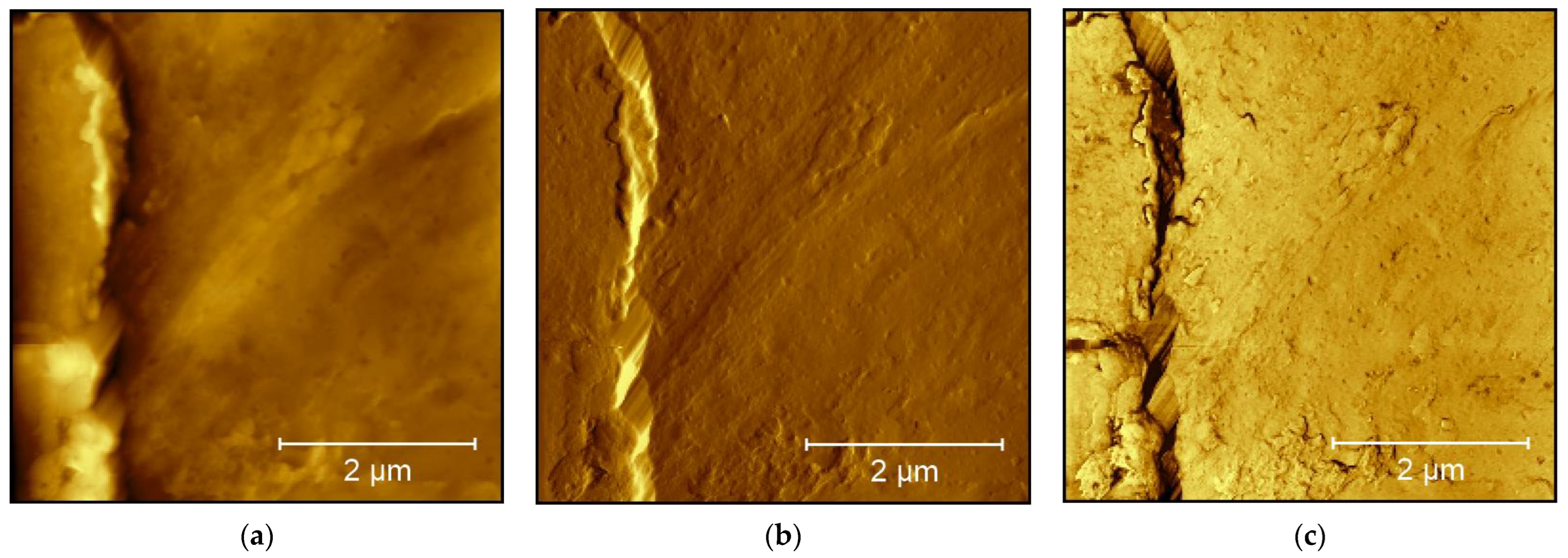 Technologies 11 00056 g005