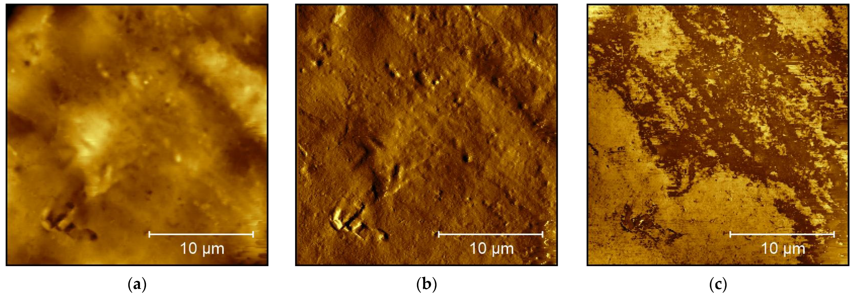 Technologies 11 00056 g009