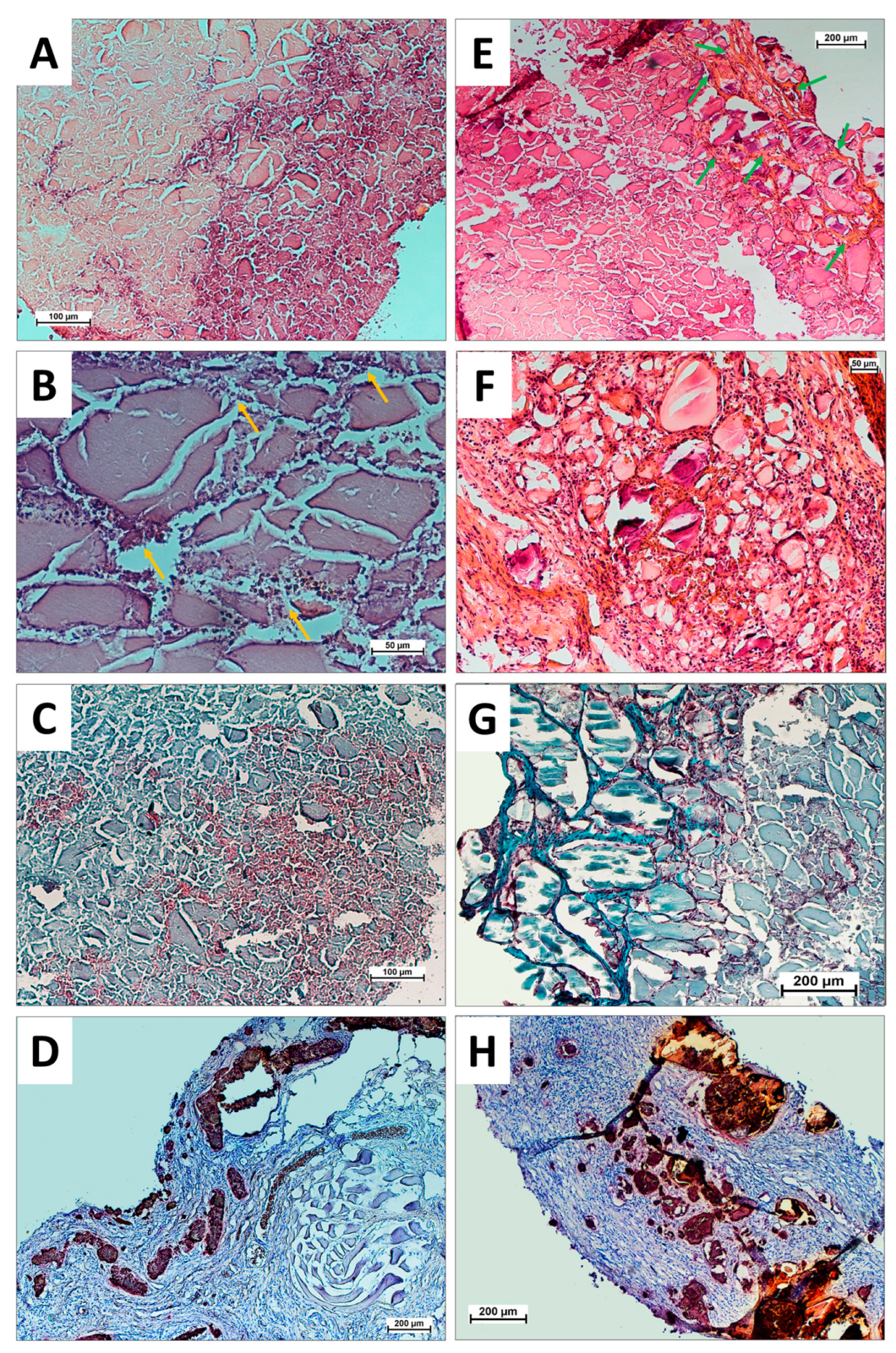 Technologies 11 00077 g007
