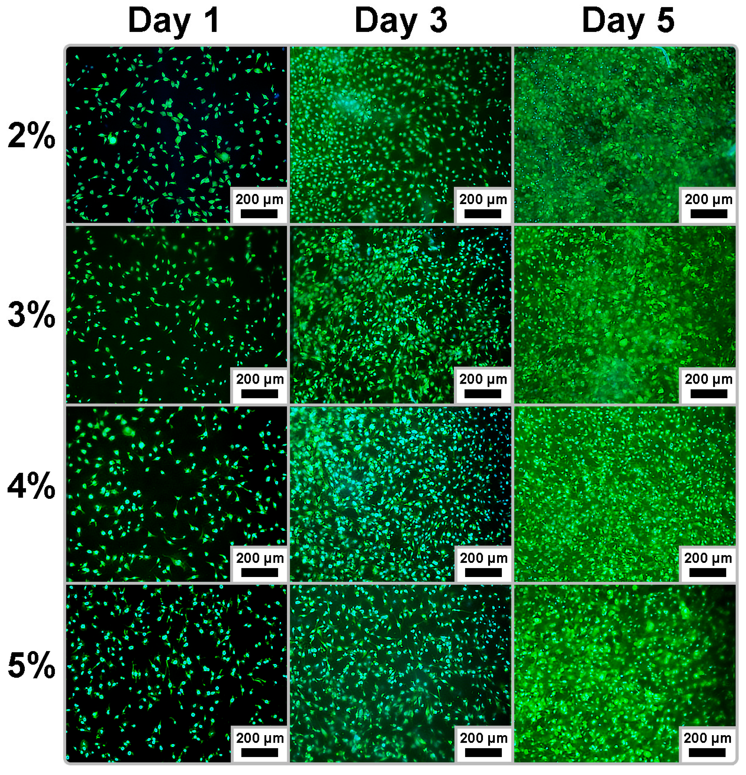 Technologies 11 00137 g004 Technologies 11 00137 g004