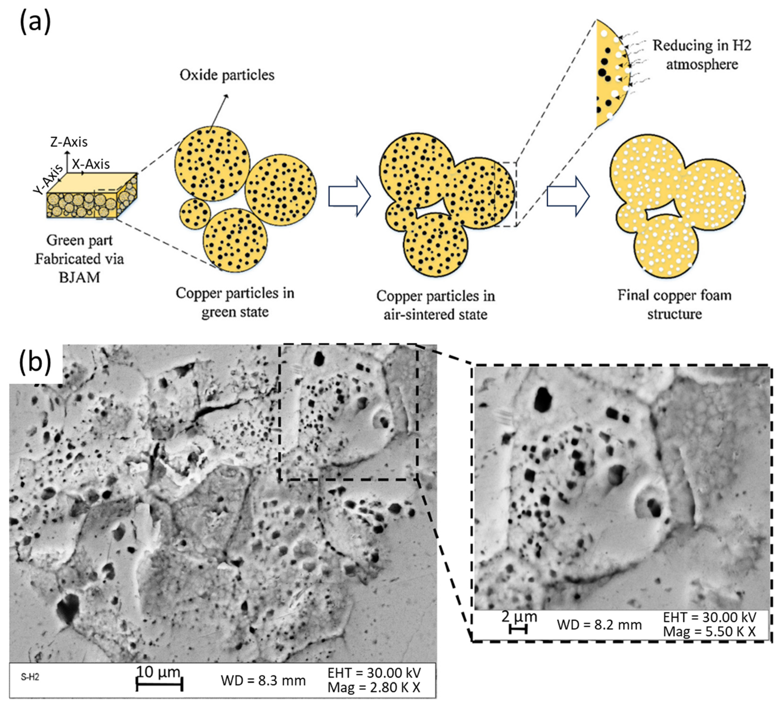 Technologies 11 00141 g031