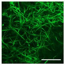 Technologies 11 00146 i004