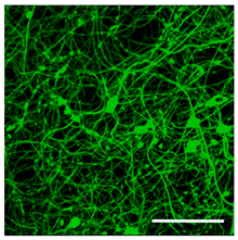 Technologies 11 00146 i005