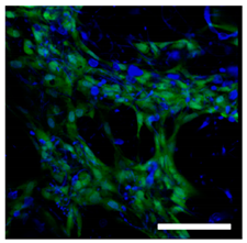 Technologies 11 00146 i006