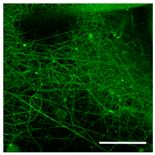 Technologies 11 00146 i008