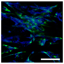 Technologies 11 00146 i009