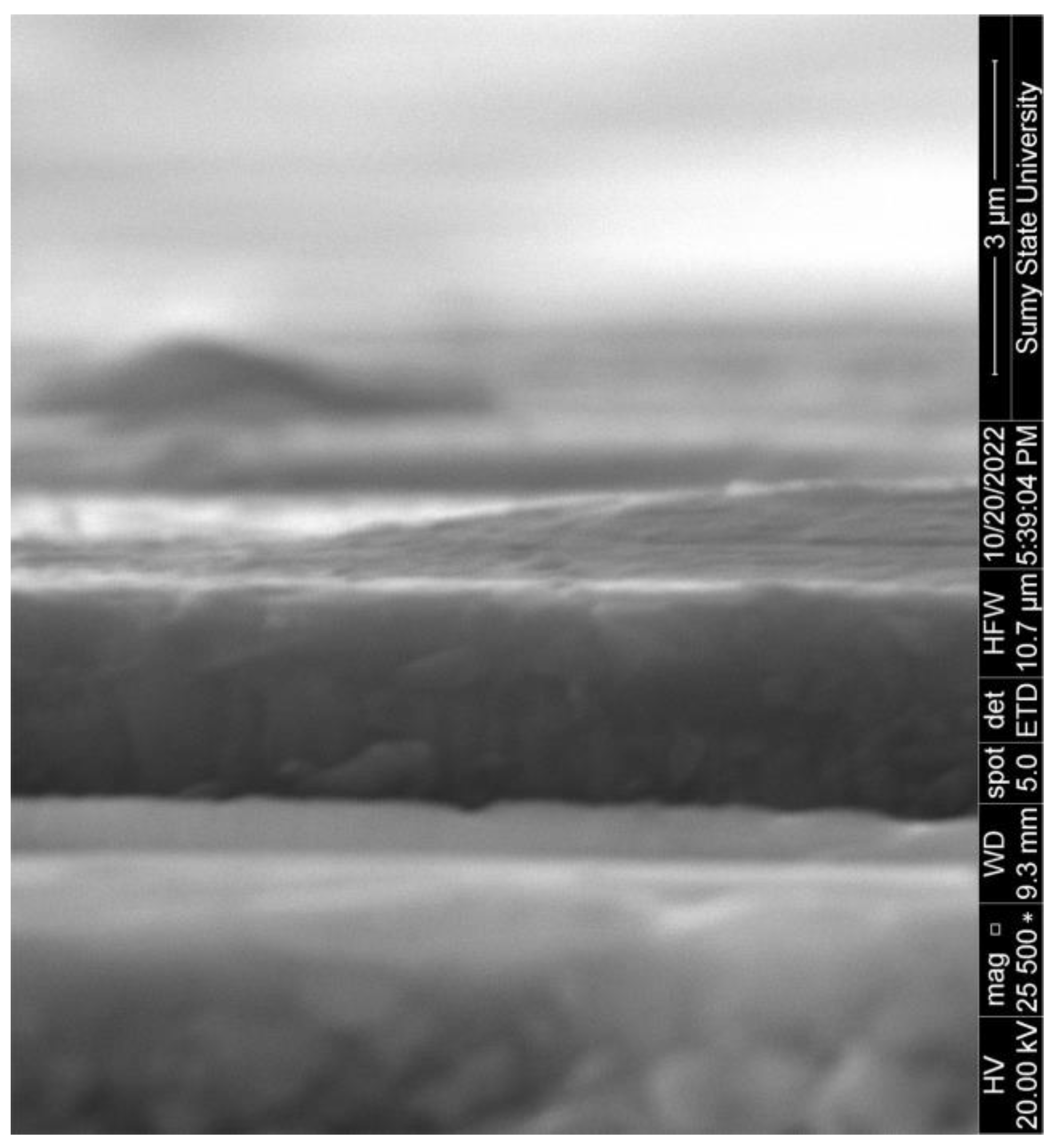 Technologies 11 00152 g005