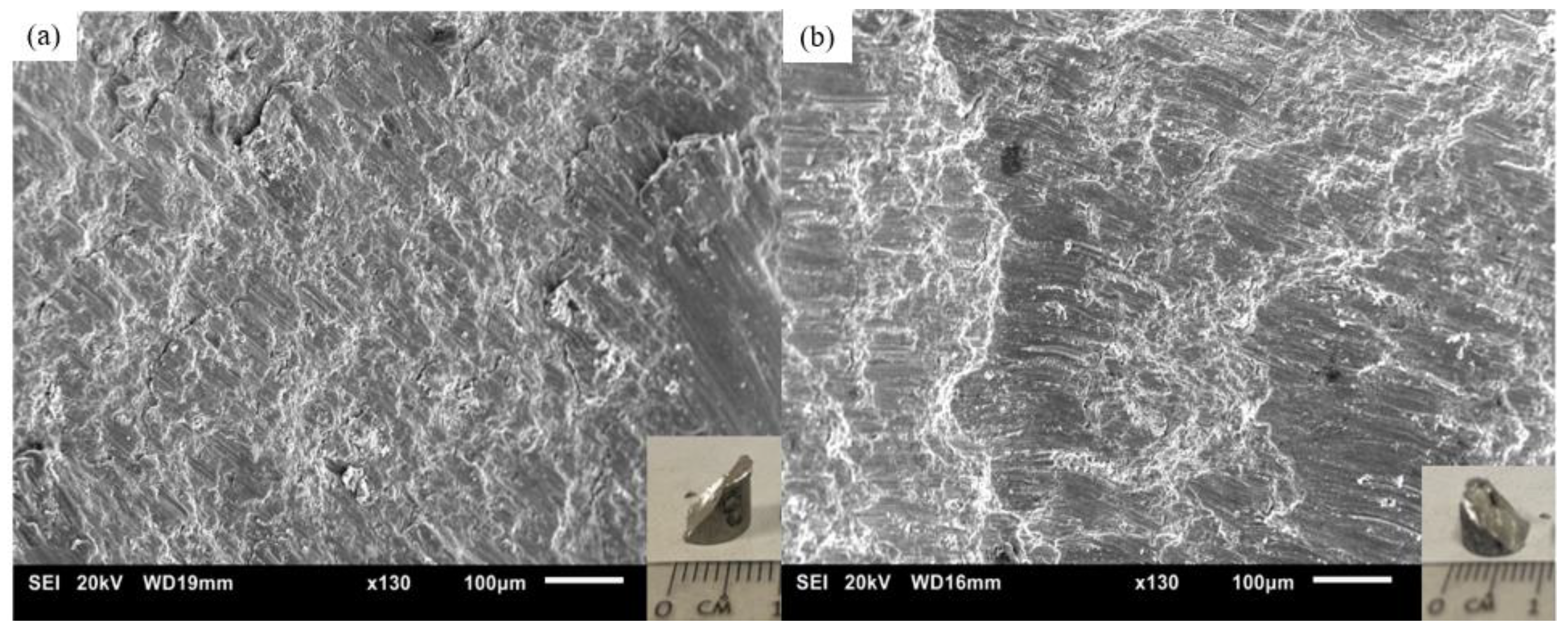 Technologies 11 00181 g011