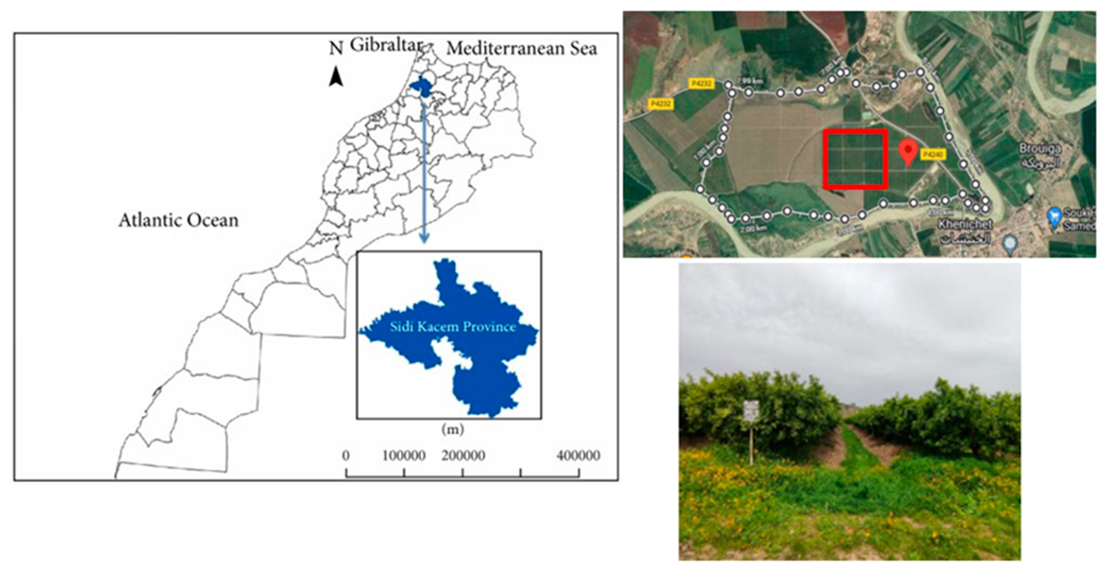 Technologies 12 00077 g002