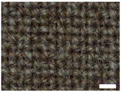 Technologies 12 00079 i002