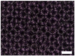 Technologies 12 00079 i003