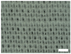 Technologies 12 00079 i009