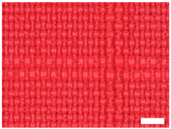 Technologies 12 00079 i010