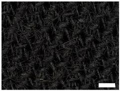 Technologies 12 00079 i011