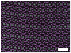 Technologies 12 00079 i012