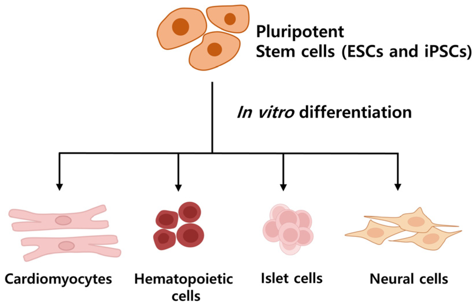 Technologies 12 00095 g002