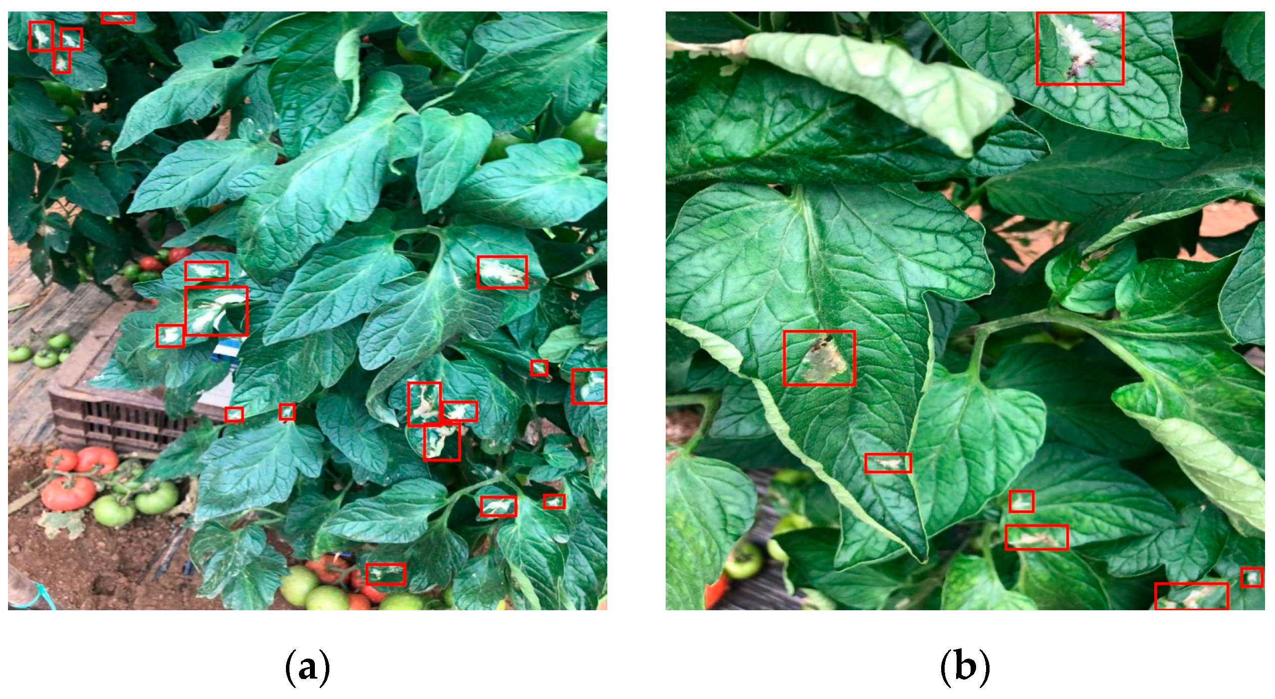 Technologies 12 00101 g006