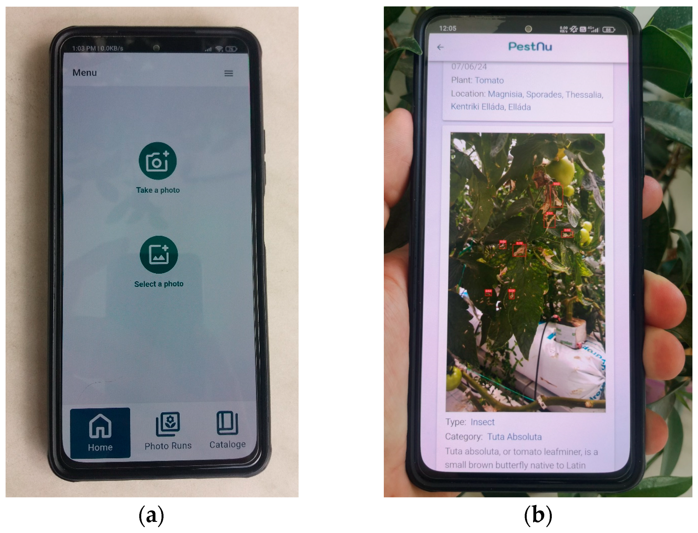 Technologies 12 00101 g007