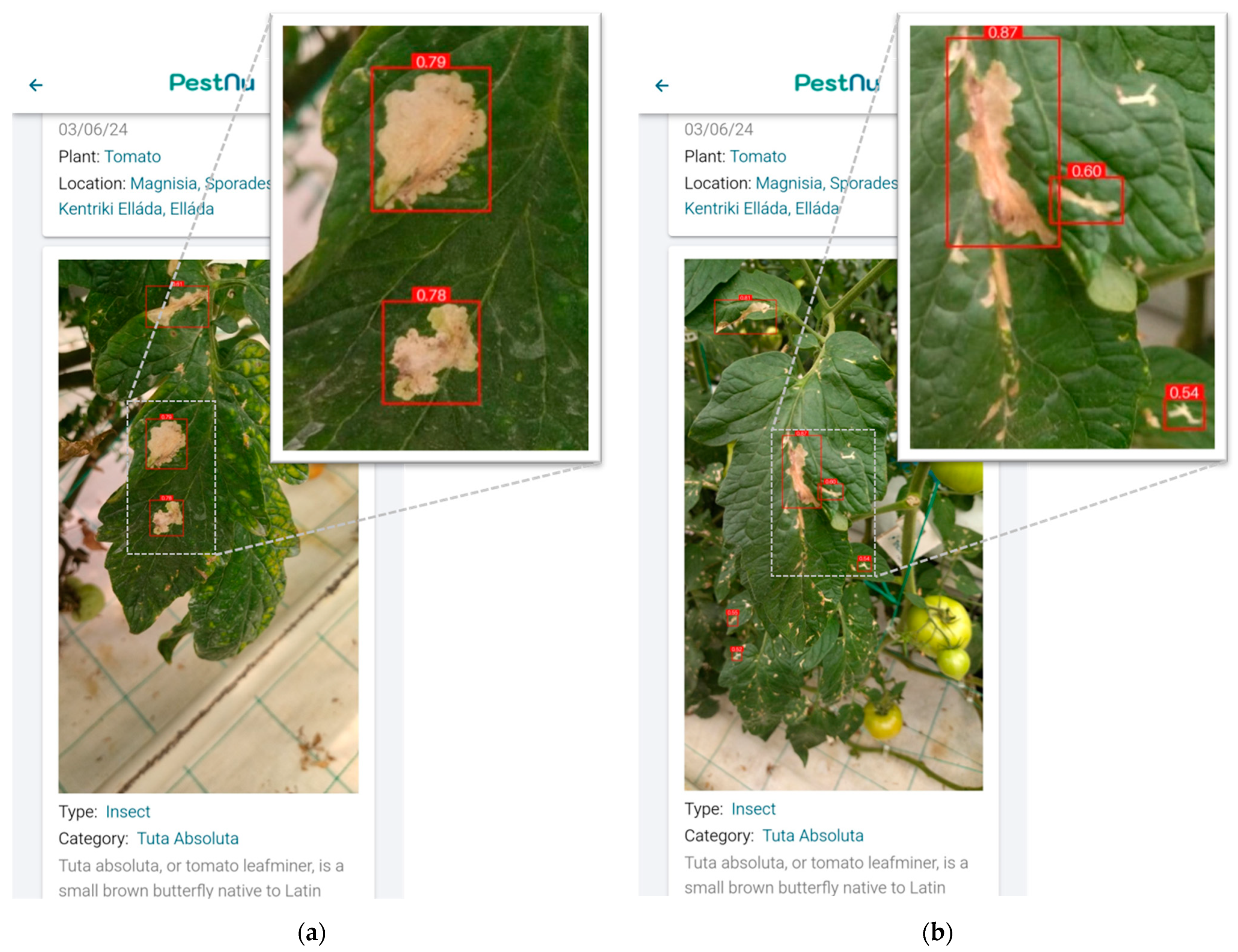 Technologies 12 00101 g008