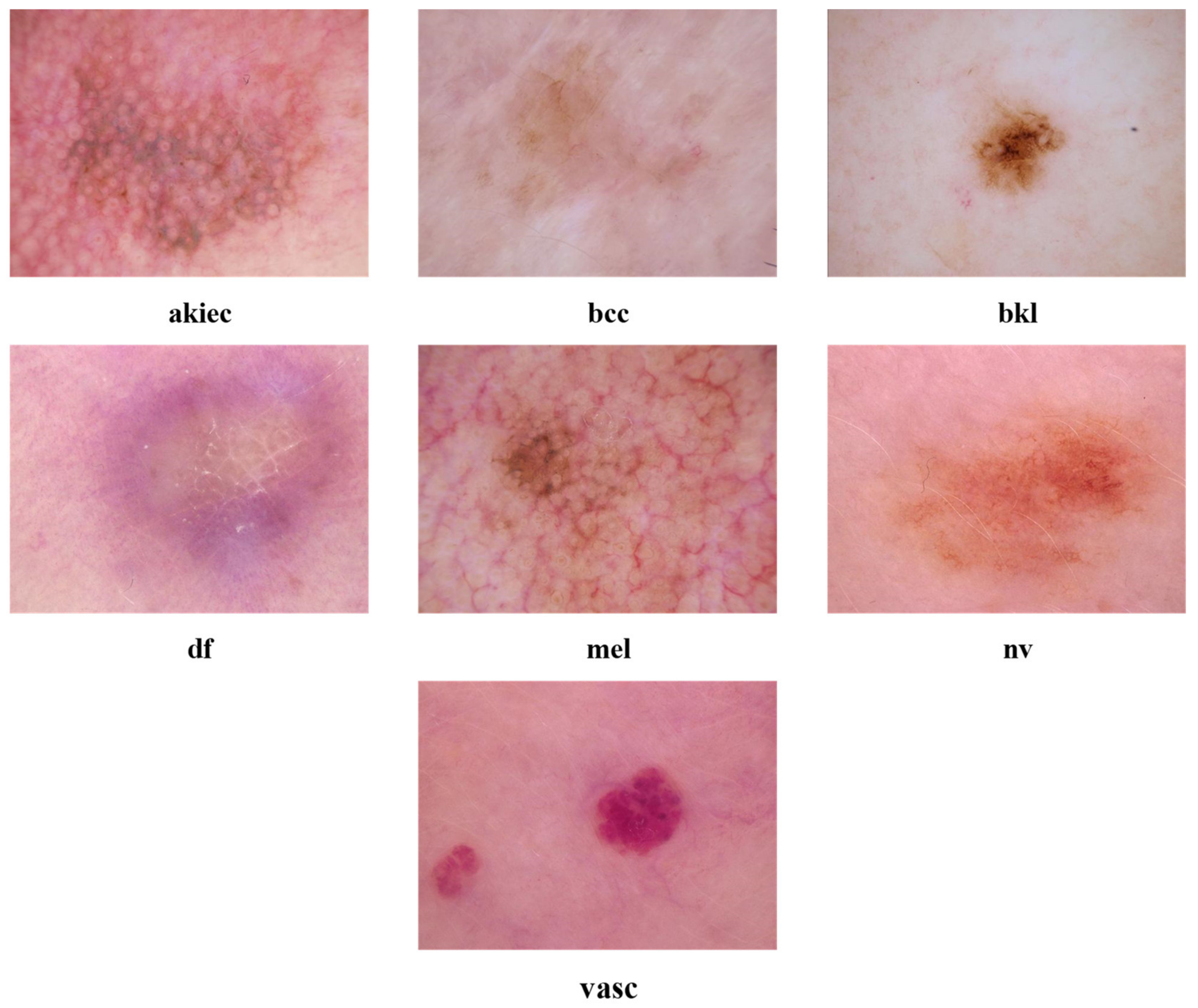 Technologies 12 00190 g001