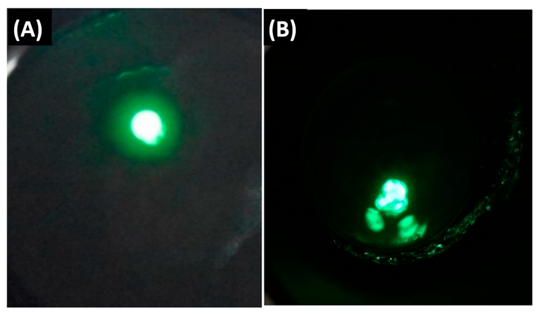 Technologies 12 00193 g005
