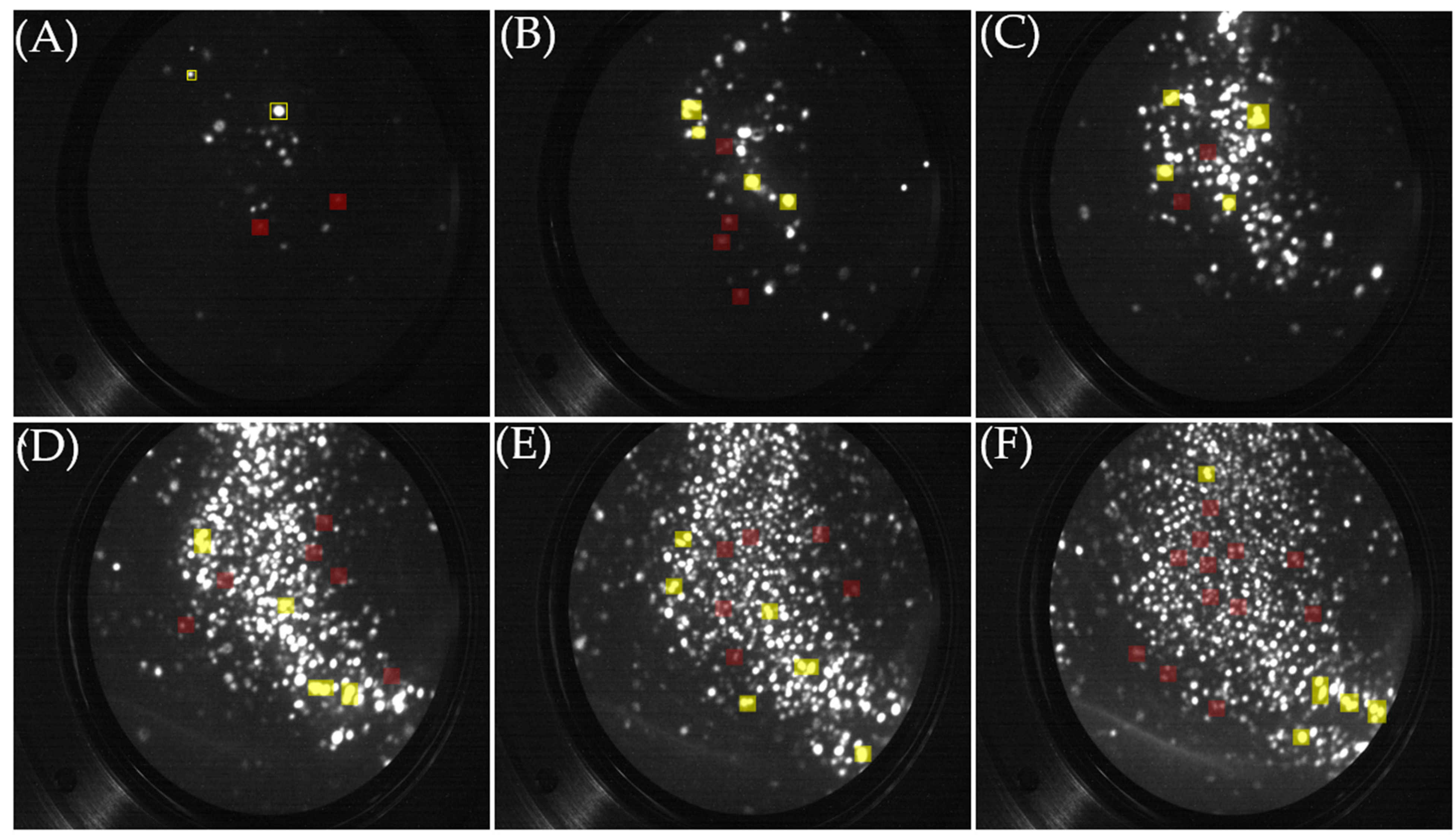 Technologies 12 00193 g006