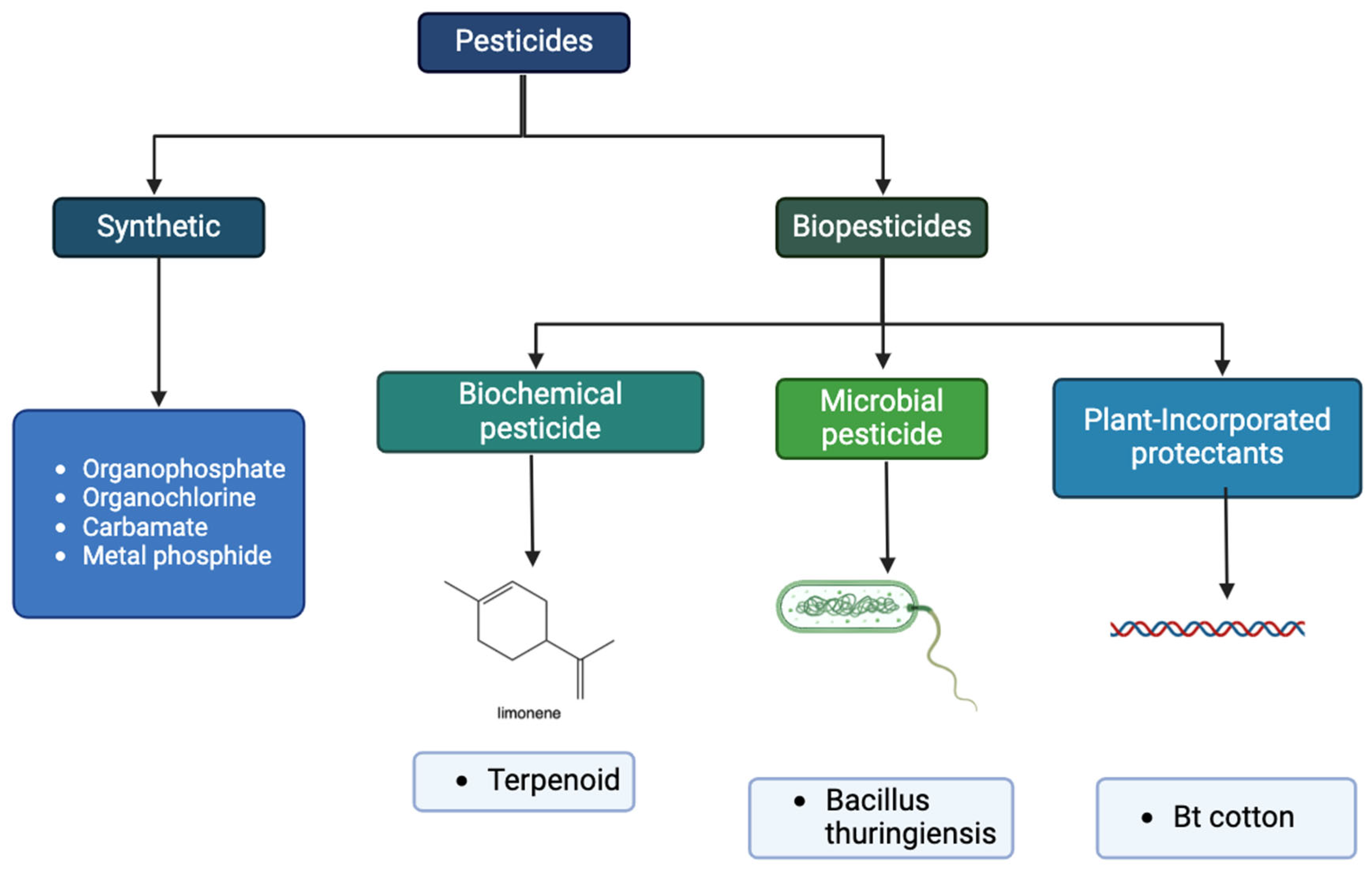 Technologies 12 00210 g003