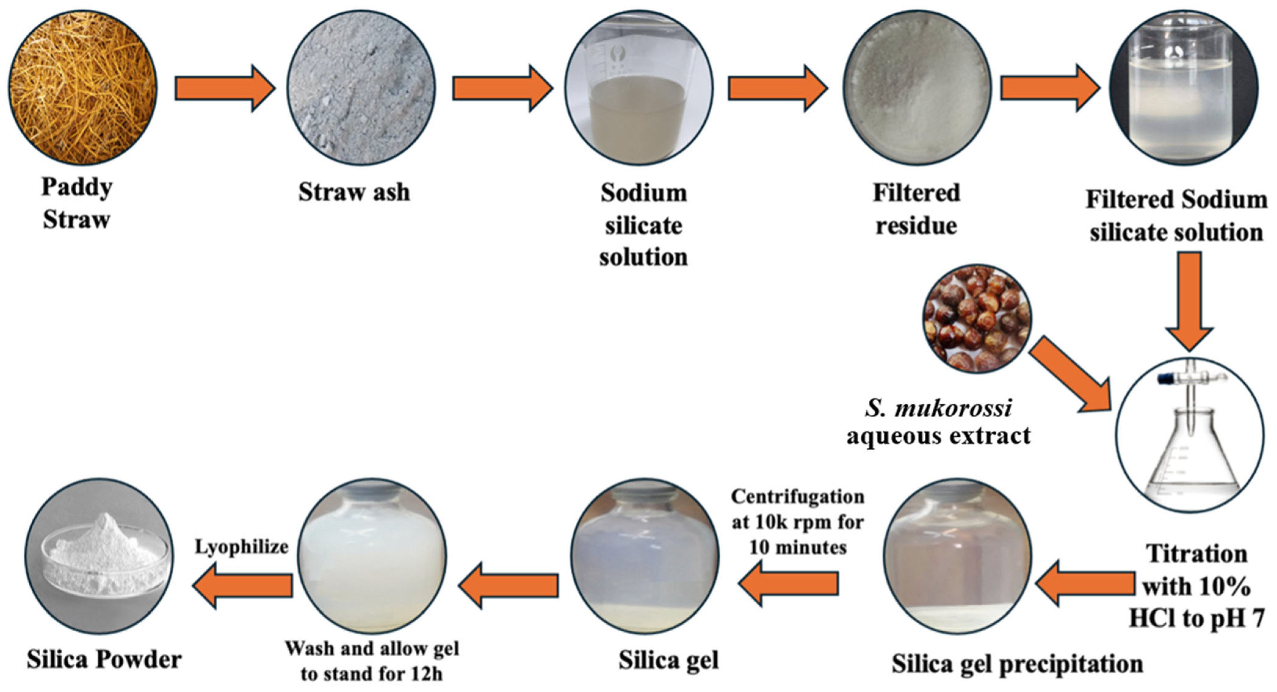 Technologies 12 00210 g004