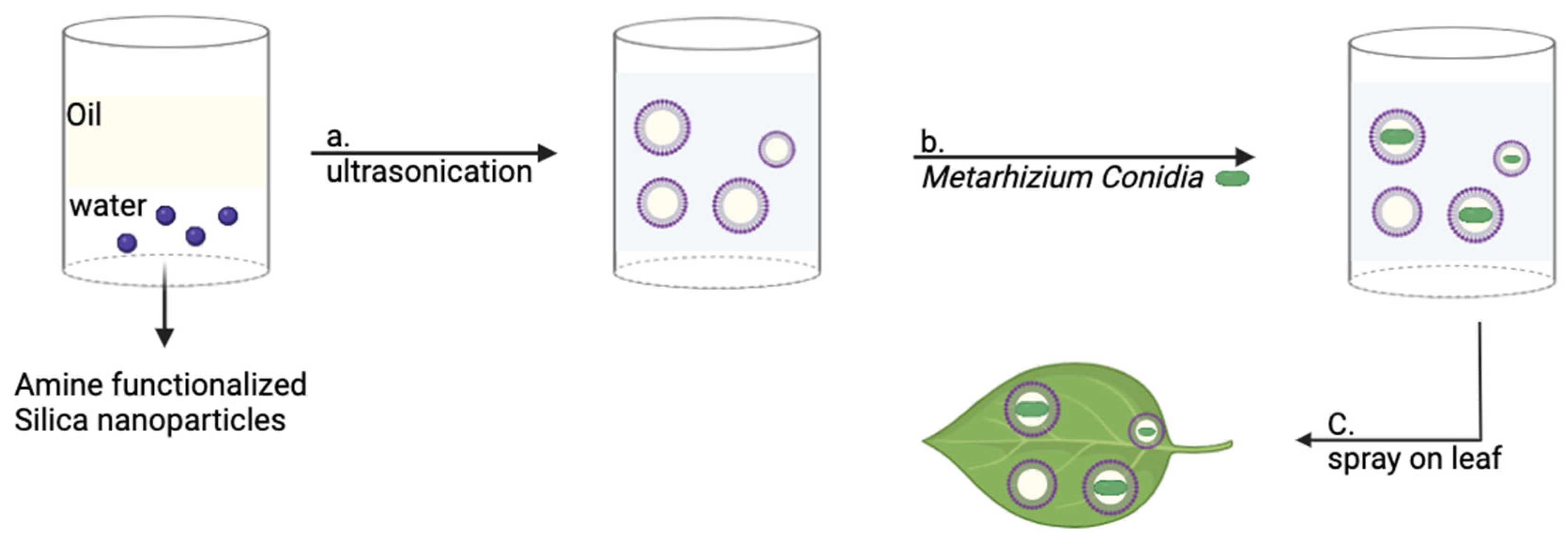 Technologies 12 00210 g005