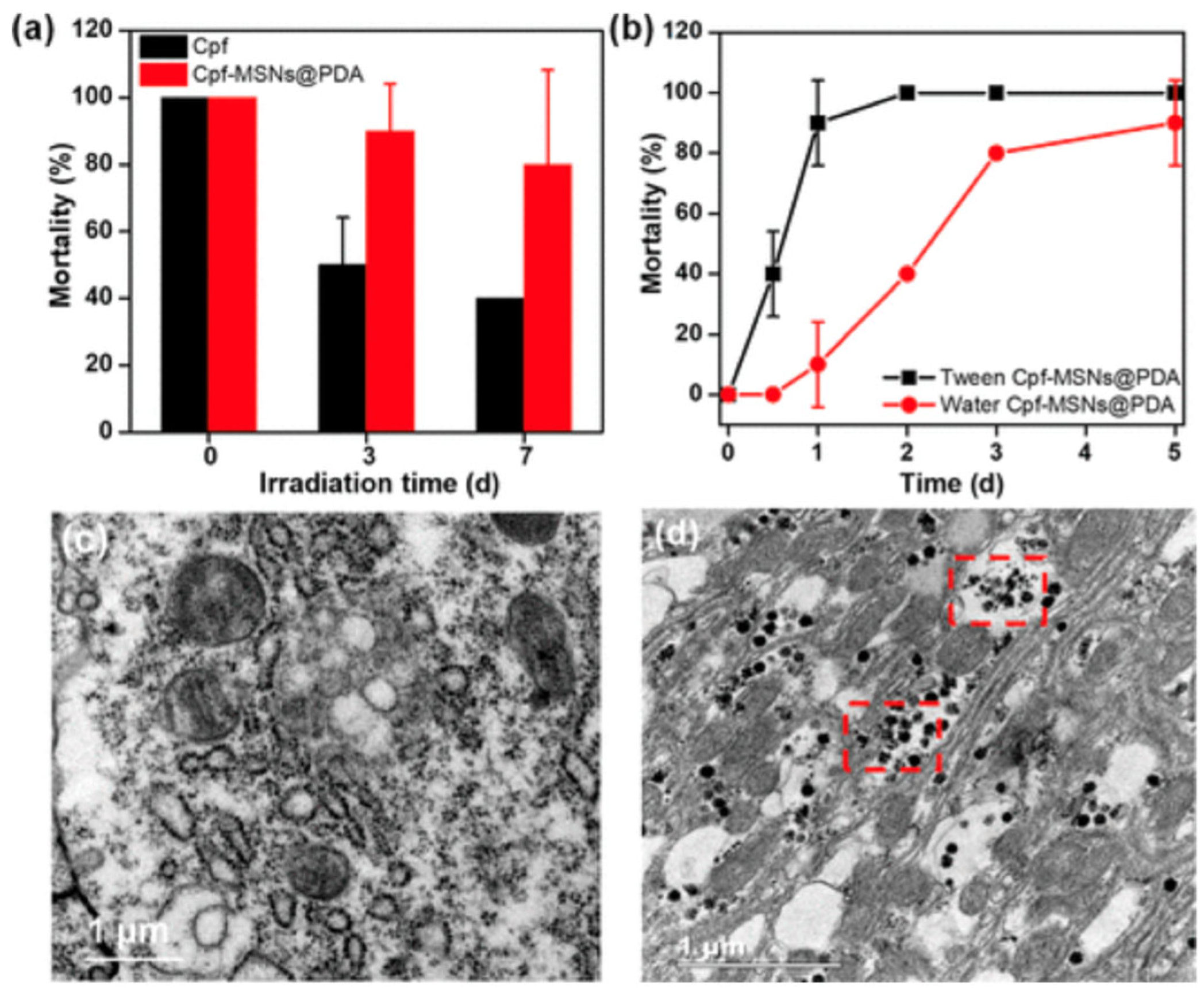 Technologies 12 00210 g007