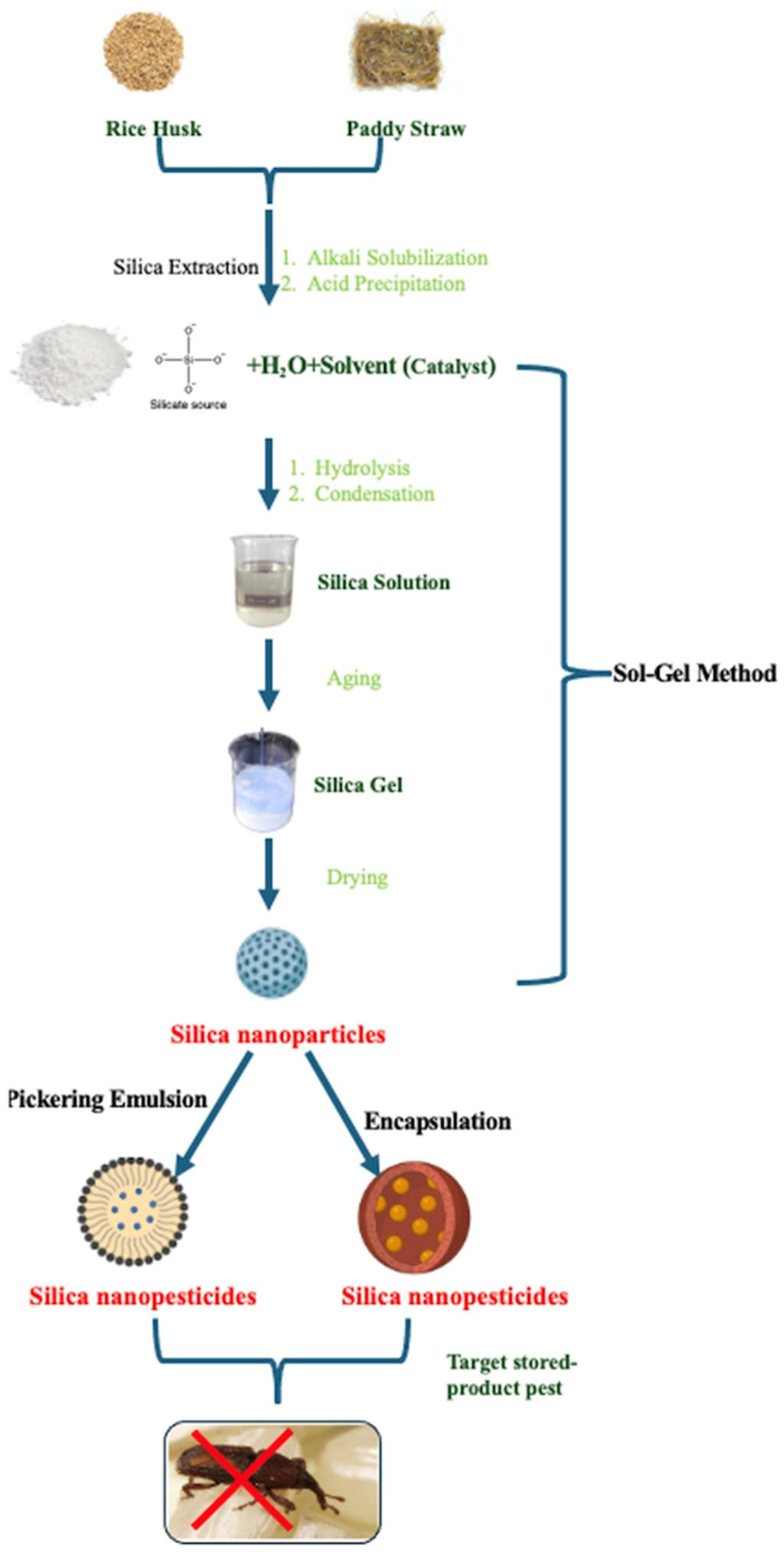Technologies 12 00210 g008