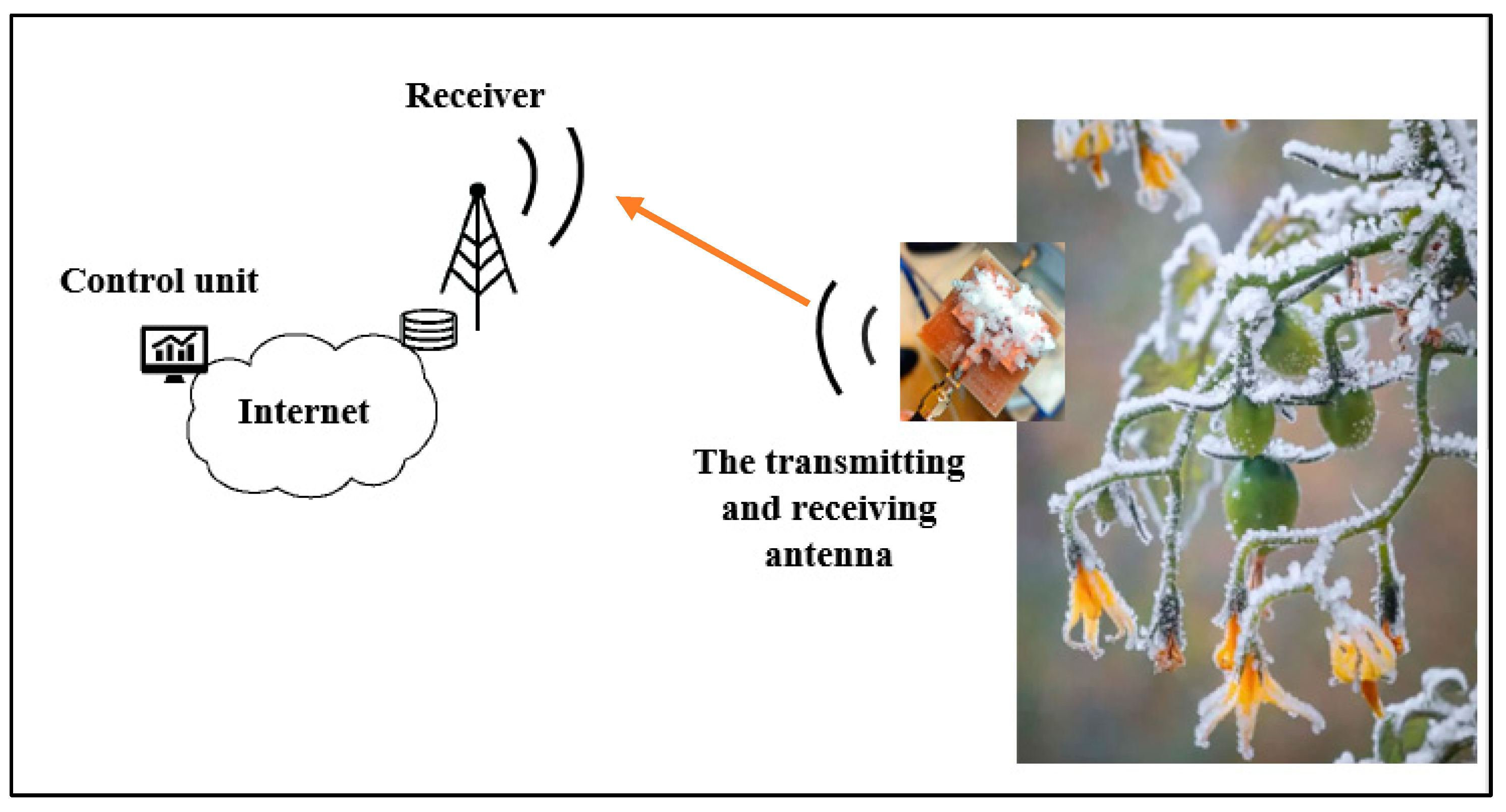 Technologies 13 00005 g001