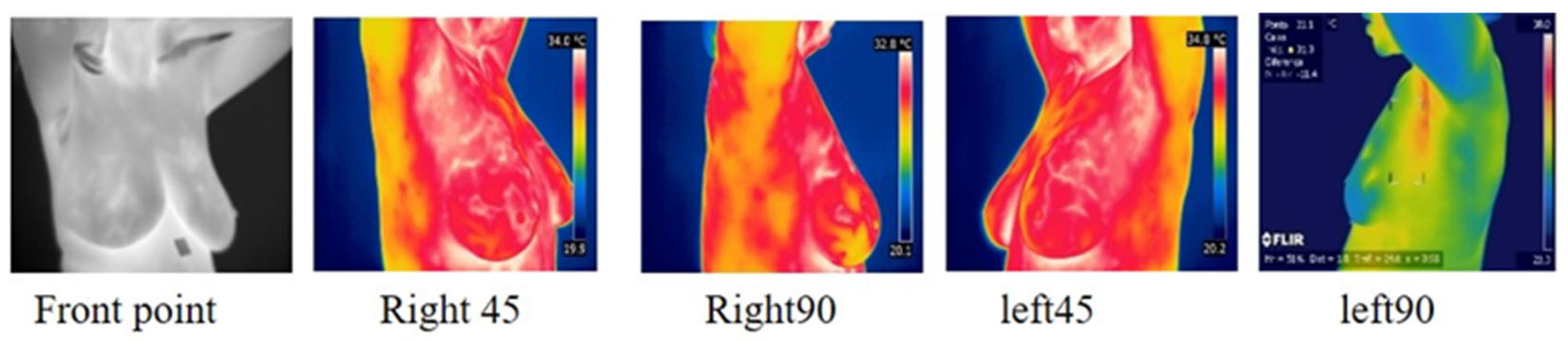 Technologies 13 00007 g002